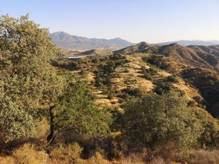 Finca rústica a Coín. Parcela rustica en venta en coín