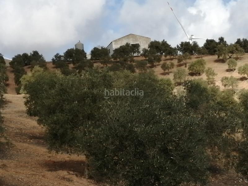 Foto 7de99cc1-2bdb-4bf7-9dd1-d2c13ae43baa. Finca rústica finca con olivos en producción en Campillos