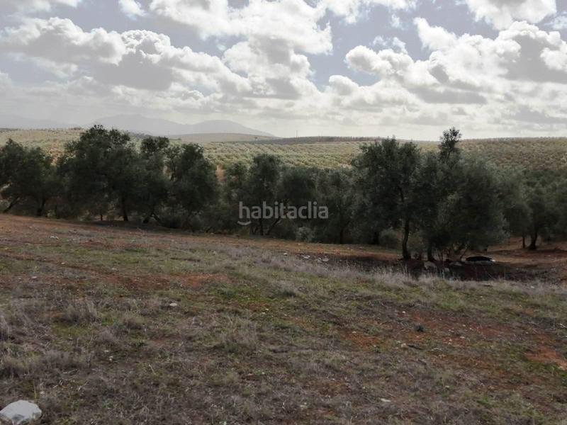 Foto f617b20a-87d2-4b95-9374-b411f845e222. Finca rústica finca con olivos en producción en Campillos