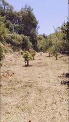 Finca rústica a Coín. Parcela rustica en venta en coín
