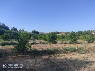 Finca rústica a Villafranco del Guadalhorce