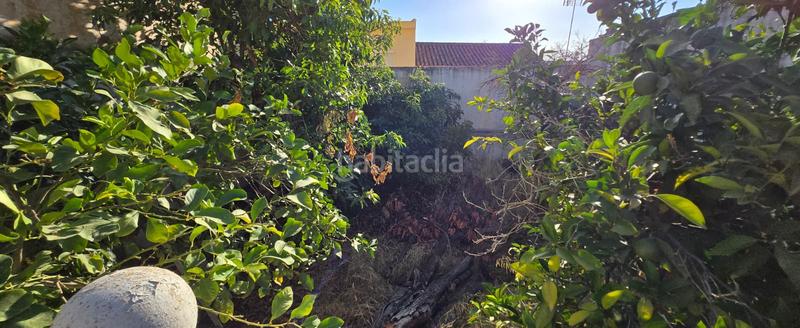 Foto c4bb2d1a-ce21-401a-b745-431940364f1f. Casa  centrica en Pizarra