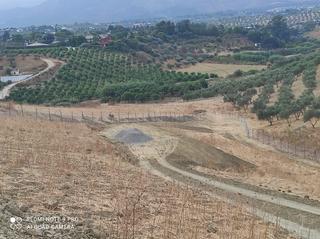 Finca rústica a Alquería-Torrealquería. Finca en venta en alhaurin de la torre
