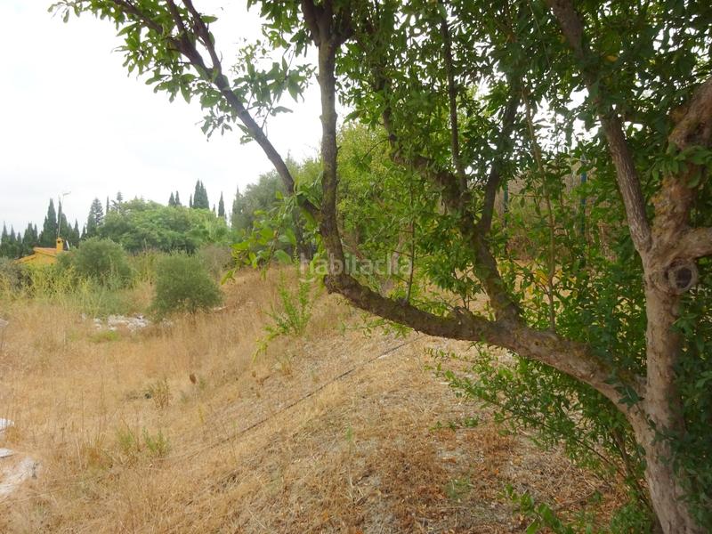 Foto 065e5ad5-e772-49e7-9844-de69430d4e33. Chalet con camino parcheggio piscina in El Romeral-Peñón de Zapata Alhaurín de la Torre