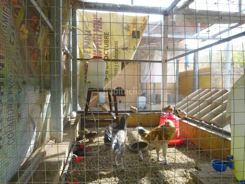 Foto 37cd294a-ddf8-4e54-ae2e-2ded83d7c1de. Chalet con camino parcheggio piscina in El Romeral-Peñón de Zapata Alhaurín de la Torre