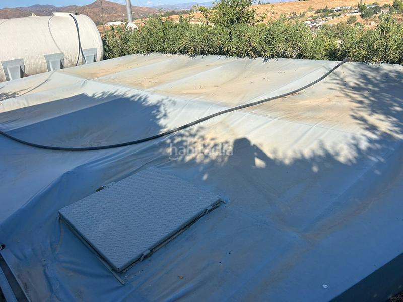 Foto 0355bfb8-96af-48f5-8784-99fdb052aa4b. Fondo rustico in Cártama