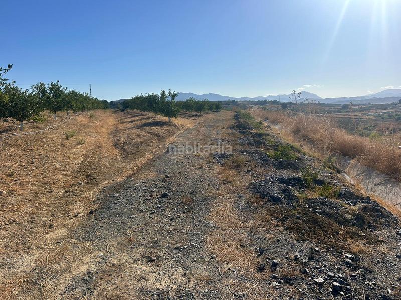 Foto 5ff06ad1-a4a7-472a-b2d9-9b2a0bc4a9c8. Fondo rustico in Cártama