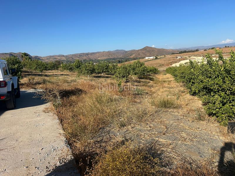 Foto 6c843fbe-815f-476c-bc76-7cb7c6f9503b. Fondo rustico in Cártama