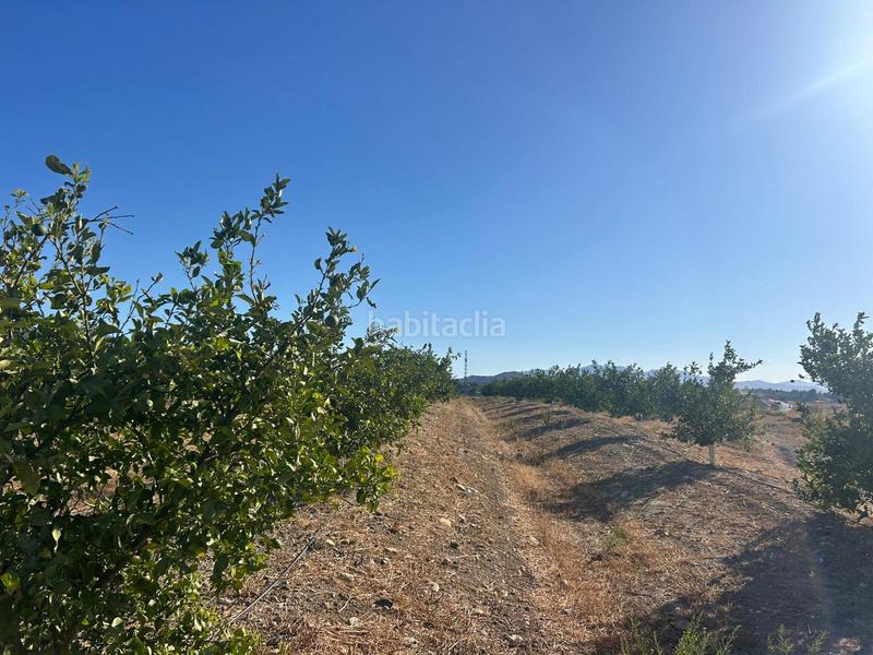 Foto 94d06580-8e0e-4d74-9791-4258fea42f6d. Fondo rustico in Cártama