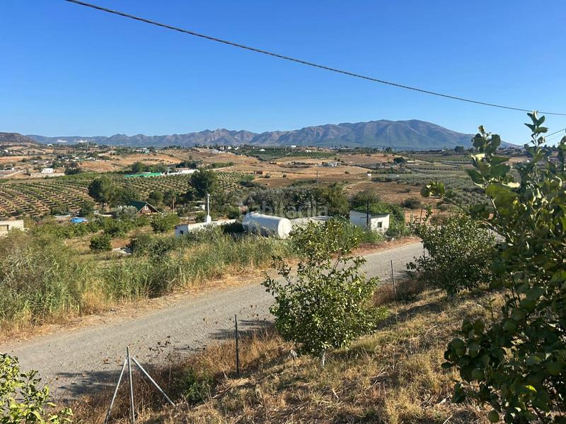 Foto e1afe823-9db7-4881-95c7-965fb7461bc6. Fondo rustico in Cártama