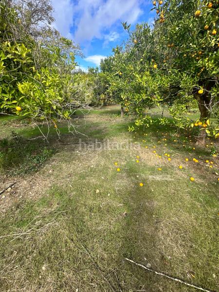 Foto 96c98665-5c70-468b-af15-d7ed86f6ae2b. Chalet mit kamin parking pool in Álora