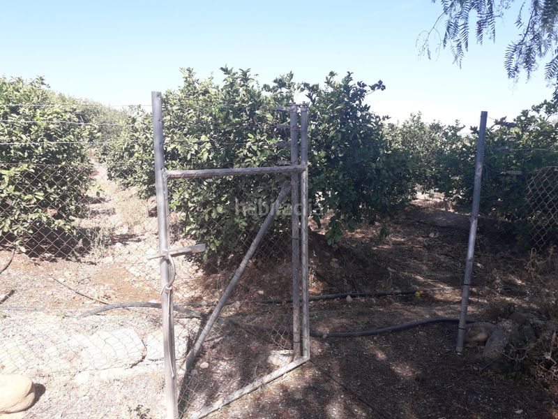 Foto 7abad41b-dcfe-42ca-b27c-01dd73b2fc6c. Masia a Casalpalma - Fahala Cártama