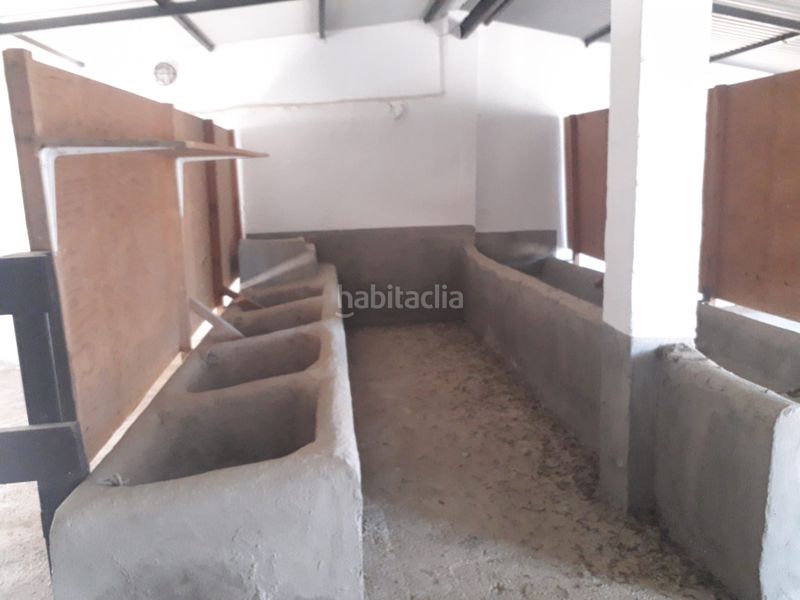Foto dda501a3-9641-467f-bf24-1ebe7a4e54f1. Masia a Casalpalma - Fahala Cártama