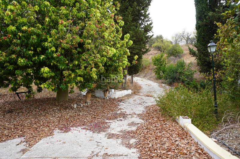 Foto e61870f3-b5f2-4345-a601-974a3d461676. Finca rústica a Coín
