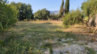 Finca rústica en Casalpalma - Fahala. Parcela rústica con luz y agua en cártama