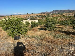 Rural plot in Casalpalma - Fahala. Parcela rústica con luz y agua en cártama