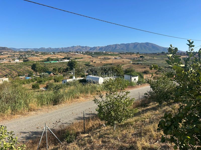Foto 8b175ad7-7582-4845-809d-dea68b57d270. Finca rústica a Casalpalma - Fahala Cártama