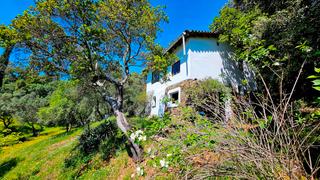 Finca rústica a Alájar. Finca de 3.500 m2 con casa, alberca y manantial en alájar.