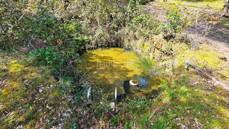 Foto 21ed717a-d9e0-4a14-a09a-4682ef2cbf73. Landgut in Galaroza