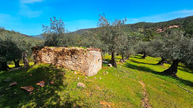 Foto 3b5e9cff-6bcb-401d-9dab-f287cea26f65. Landgut in Galaroza