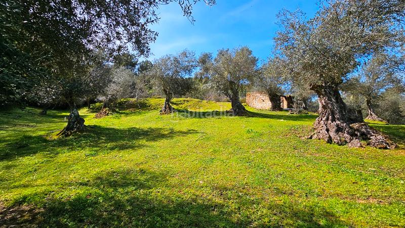 Foto 68c9f0c8-bd90-4cc2-a2c6-c6050b11e052. Landgut in Galaroza