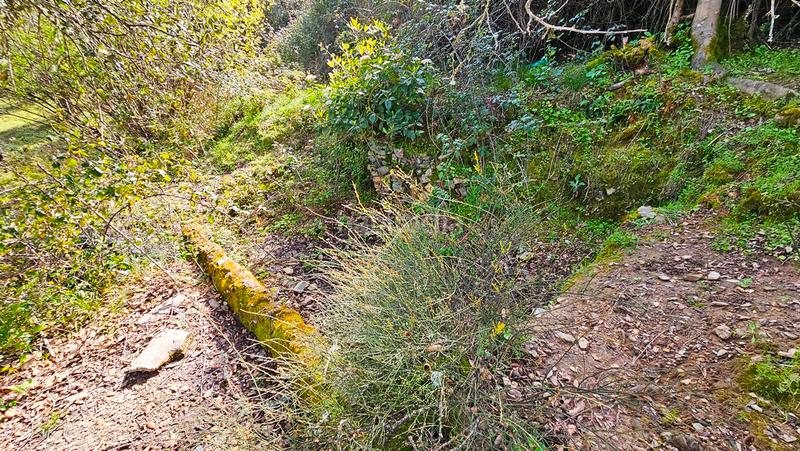 Foto 6b779b11-8142-41e9-9b01-90975e7225c3. Landgut in Galaroza