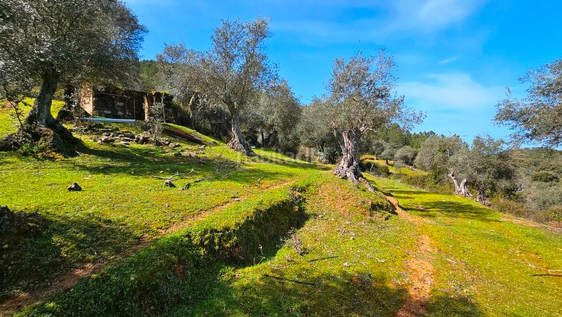 Foto 6e8dc3c2-df15-4d76-9261-d17b050b7295. Landgut in Galaroza