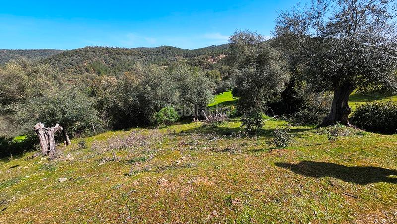 Foto a909310d-9ab1-4adb-a379-4e42ba4bb61a. Landgut in Galaroza