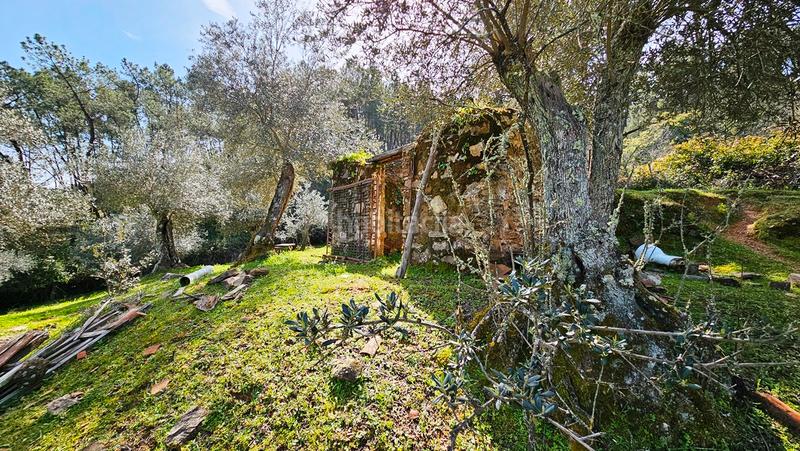 Foto d558465b-4fd6-4835-8da1-bb1fcf2173b9. Landgut in Galaroza