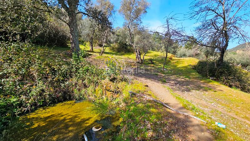 Foto d7d49a59-2b0d-4040-8cb9-c227c85d976c. Landgut in Galaroza