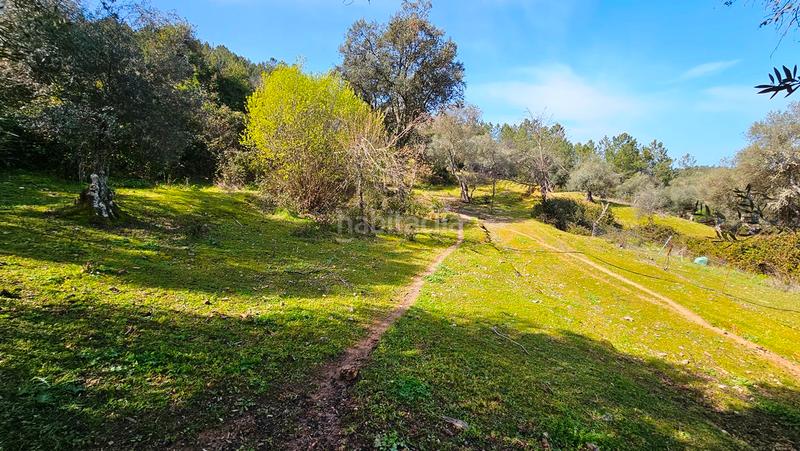 Foto e1c11514-e166-4e89-8e5b-a41e8604bee8. Landgut in Galaroza