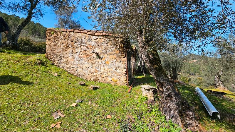 Foto ff250f4e-add1-422c-91f4-a9cc530012ea. Landgut in Galaroza