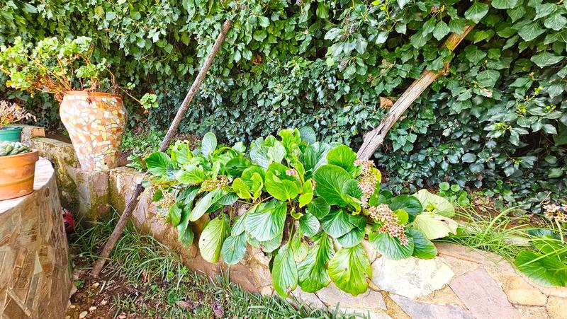 Foto 86e96297-3b95-4a4e-8258-4b93a9229130. Masia amb xemeneia piscina a Galaroza