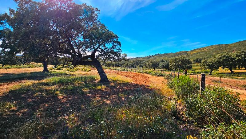 Foto 1f5c4f3d-c6b5-4473-ad82-26c3fc3aefe2. Mas avec cheminée dans Zufre