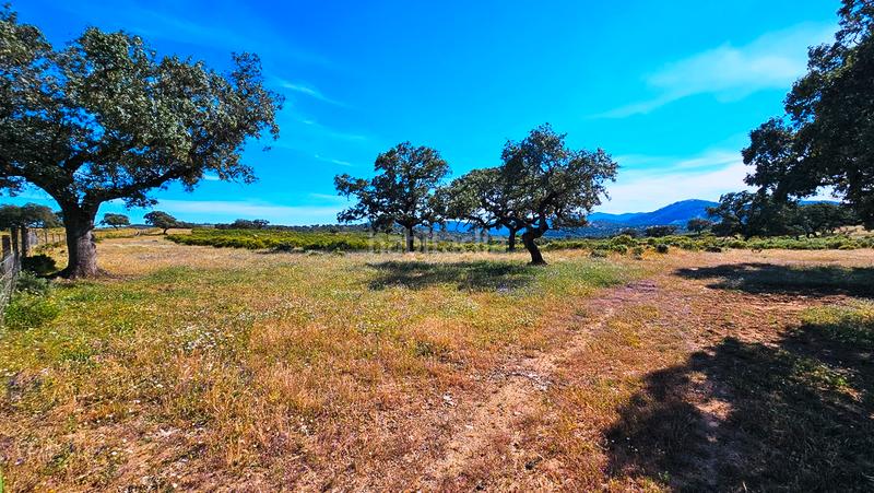 Foto 26d9776f-767a-416c-9a7e-c0b69990f0ad. Mas avec cheminée dans Zufre