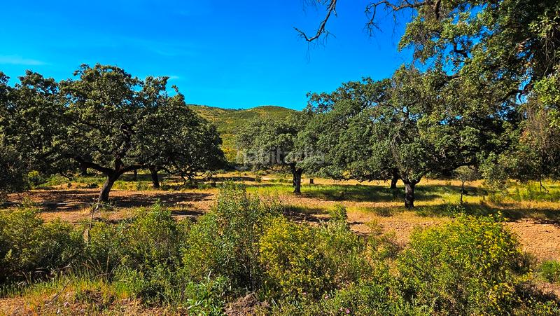 Foto 368a90c5-b282-4122-ab32-1f9ac233ee0b. Mas avec cheminée dans Zufre