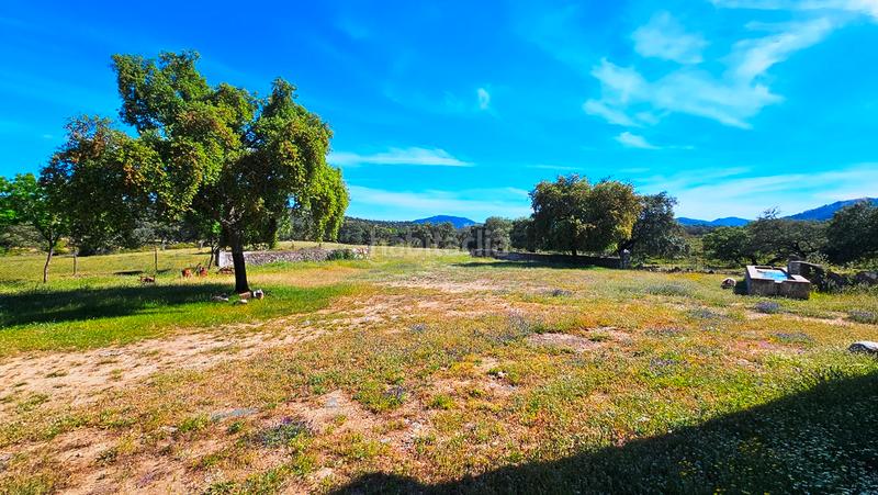 Foto 3ddad236-7bb5-4799-967c-c45c832e285a. Mas avec cheminée dans Zufre