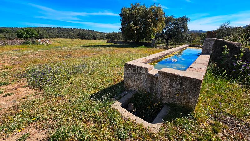 Foto 73f2684a-f459-4515-aa6f-a64aec33acfd. Mas avec cheminée dans Zufre