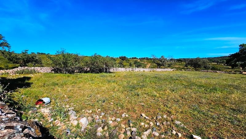 Foto 9001c589-a36e-40c6-a3eb-7c809fe728b4. Mas avec cheminée dans Zufre