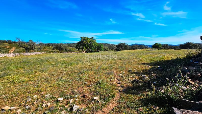 Foto aa72bce2-7c74-4cf9-a906-3b4ba5812291. Mas avec cheminée dans Zufre