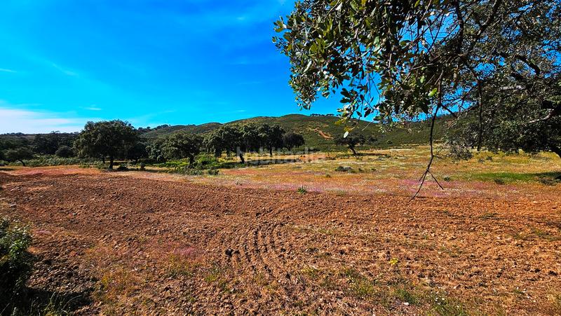 Foto ae863d46-cd19-4308-9cf7-b04f2e8ecbcf. Mas avec cheminée dans Zufre