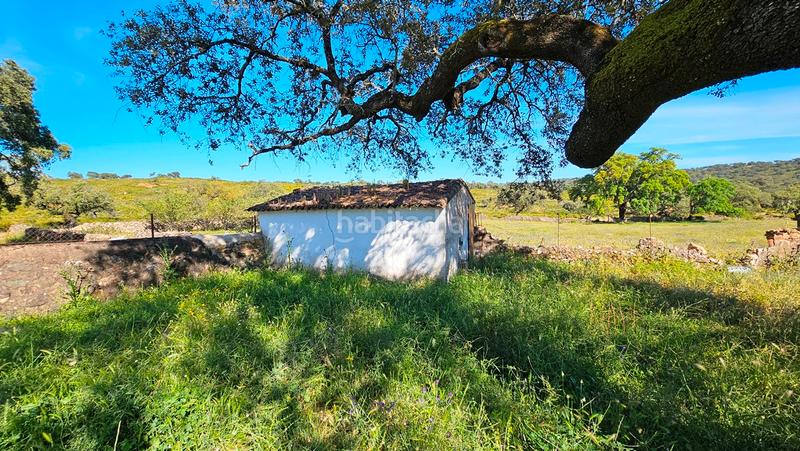 Foto de9dca6d-c854-472a-b83c-64249e694f28. Mas avec cheminée dans Zufre