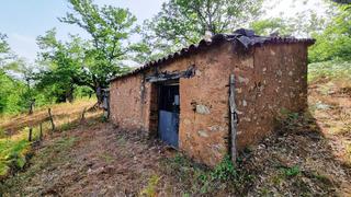 Finca rústica a Galaroza. Finca de 2 has con casamonte de 30 m2 y manantial
