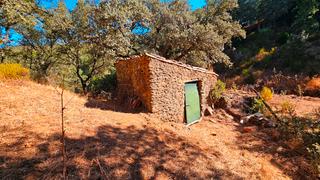 Finca rústica a Marines (Los). Finca de 5.135 m2 en los marines