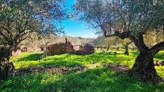 Finca rústica a Higuera de la Sierra. Finca de 1,2 has con pozo y ruina para rehabilitar en higuera de