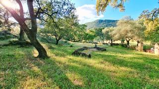 Finca rústica a Linares de la Sierra. Finca de 8.000 m2 a 300 metros de linares de la sierra