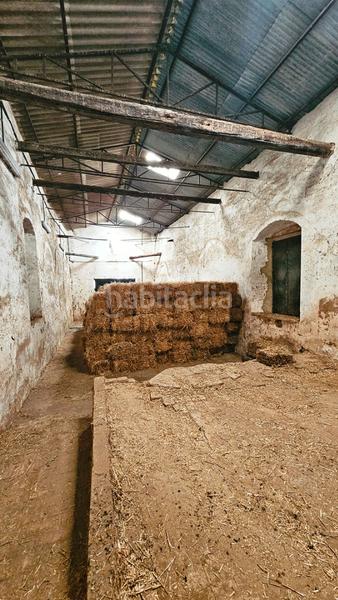 Foto 058b2014-4386-4b7f-a458-50851140fff4. Propriété dans La Hispanidad - Verdeluz Huelva