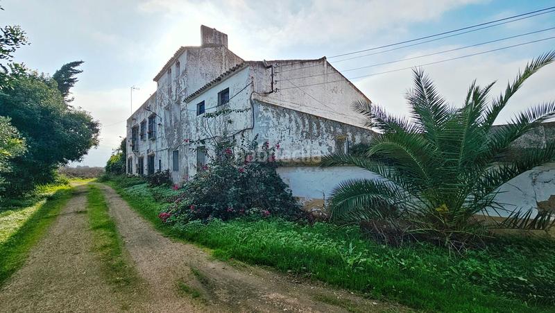 Foto 0b4351de-b9af-49db-bee5-694b9769d1d6. Propriété dans La Hispanidad - Verdeluz Huelva