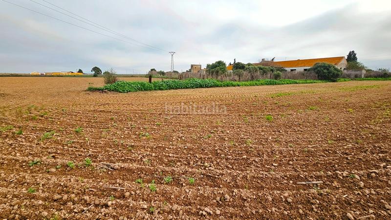 Foto 1a774035-0403-40b5-8c34-475ad569bdfd. Propriété dans La Hispanidad - Verdeluz Huelva