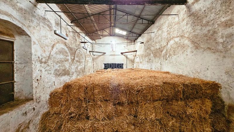 Foto 2f6b9fe3-3fbe-4d98-8c25-739d847daea6. Propriété dans La Hispanidad - Verdeluz Huelva